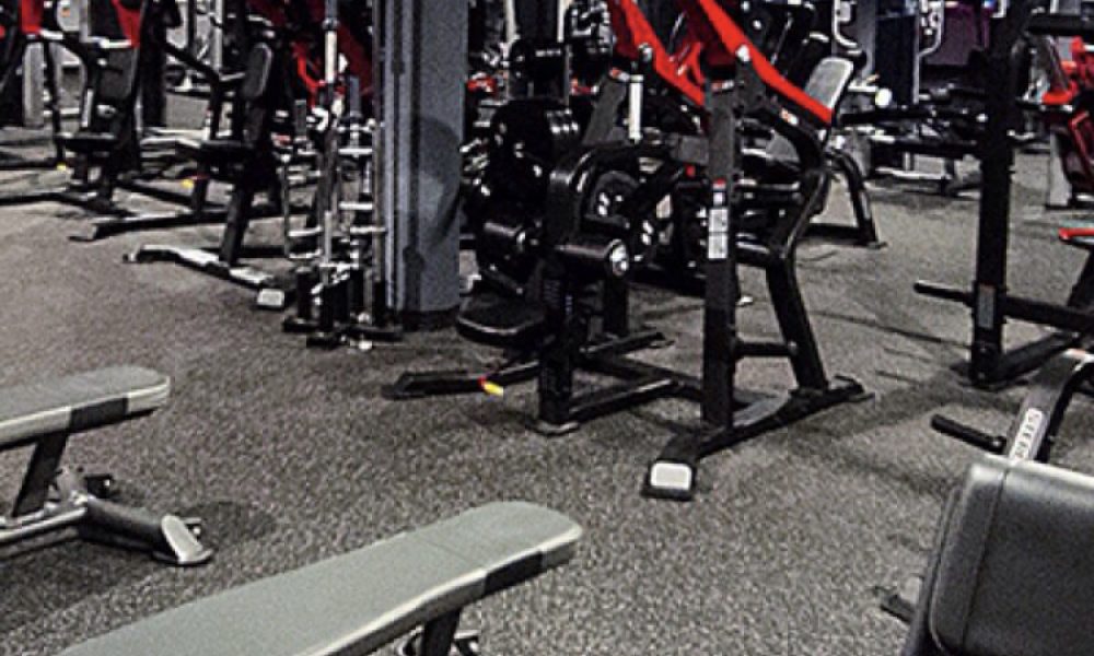 PRO SPORT &amp; HEALTH CORP