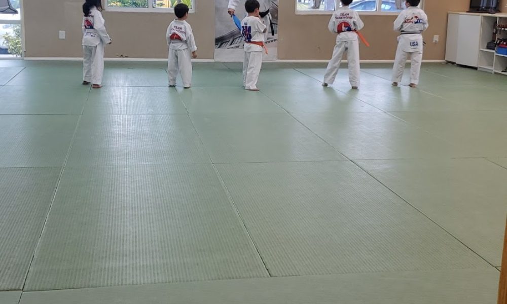 Team Taekwondo