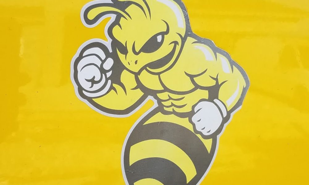 WOODFLOORING PARADISE