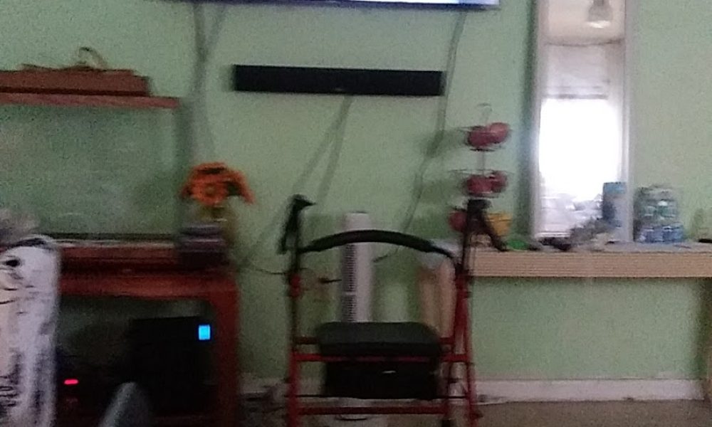 After Hours Vet To Pet