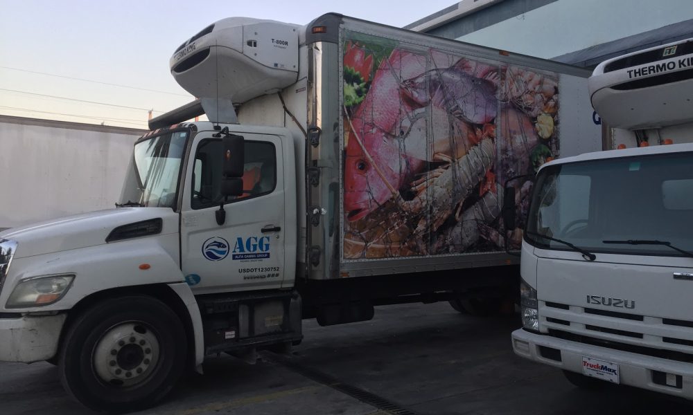 Alfa International Seafood