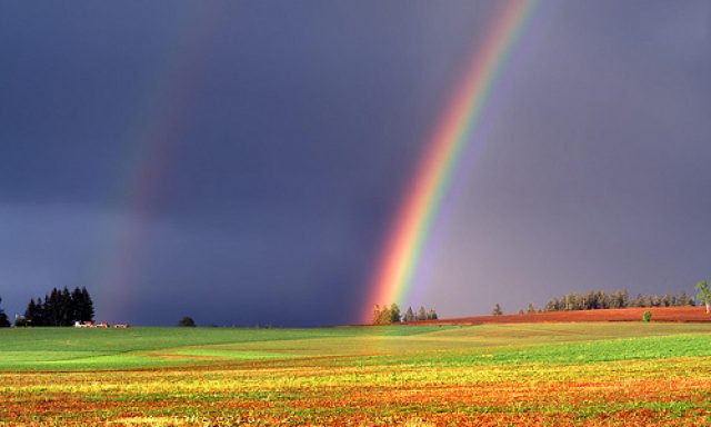 CM Community Services, Inc.