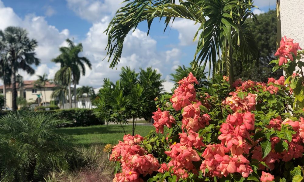 Calvary Chapel Miami