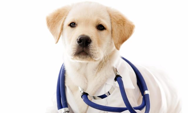 Center for Chiropractic Health Rehabilitation