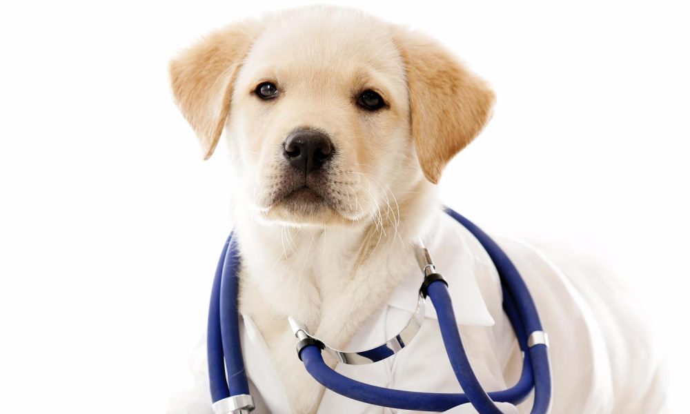 Center for Chiropractic Health Rehabilitation