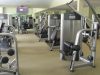 Elite Gym Equipment International