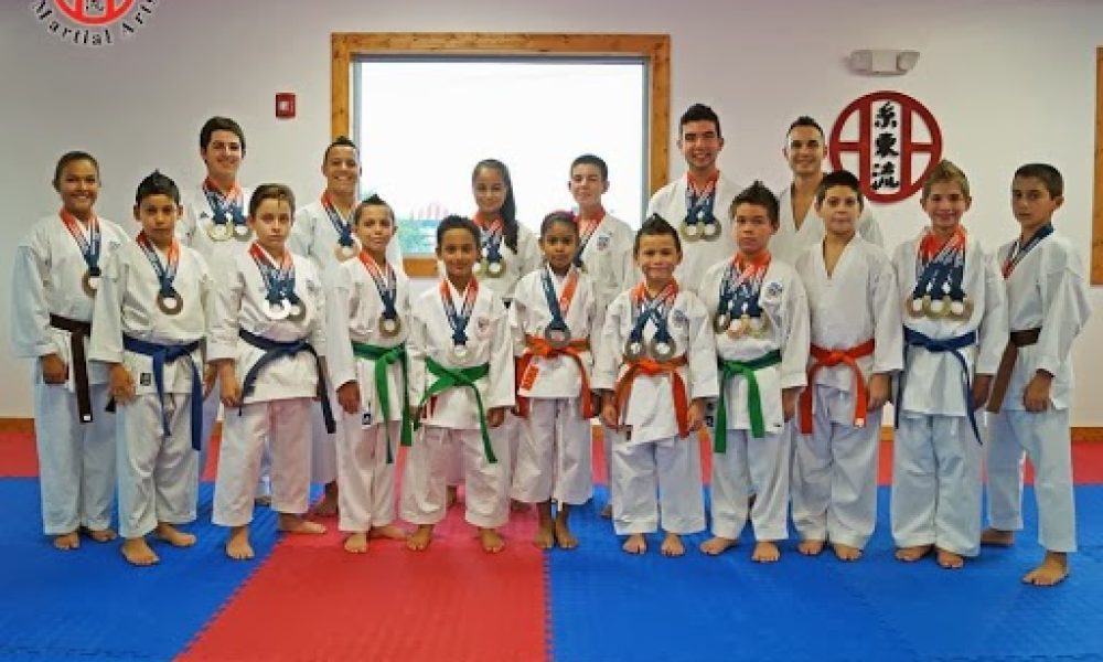 Gino Alfonso Martial Arts