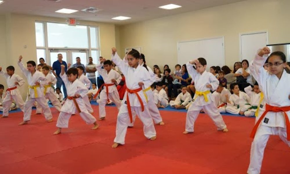 Gino Alfonso Martial Arts