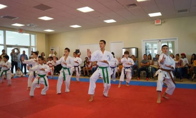 Gino Alfonso Martial Arts