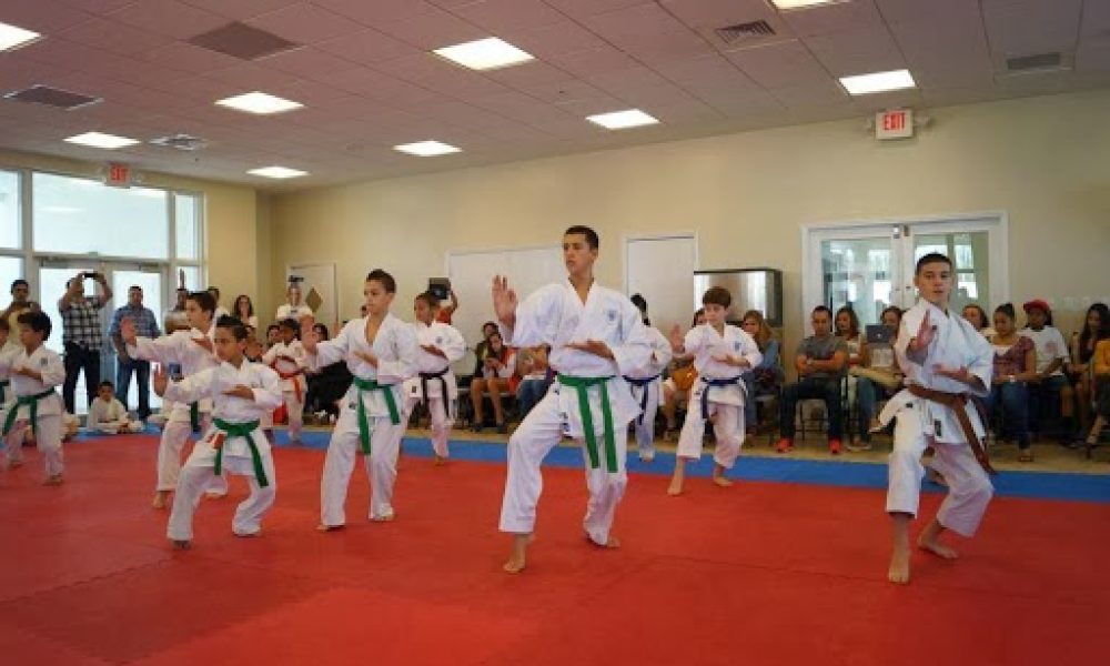 Gino Alfonso Martial Arts