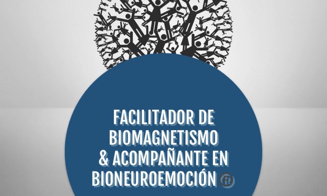 Heathor Biomagnetismo