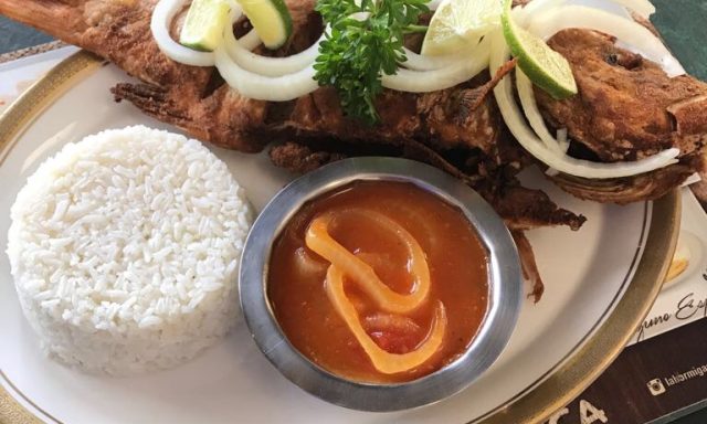 La Hormiga de oro Miami