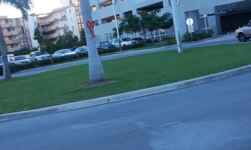 Miami Dade Hialeah Campus Bookstore