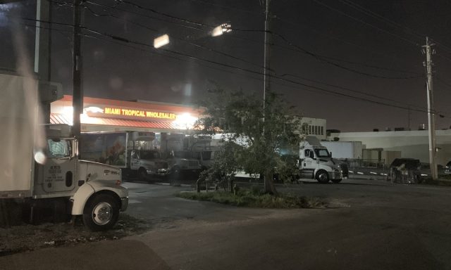 Miami Tropical Wholesaler