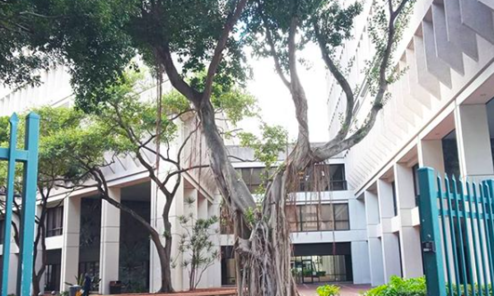 PereGonza The Attorneys | Los Abogados