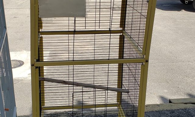 Pet’s Area Code Inc