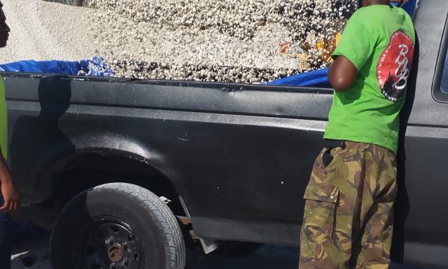 Professional Offroad Tire Services