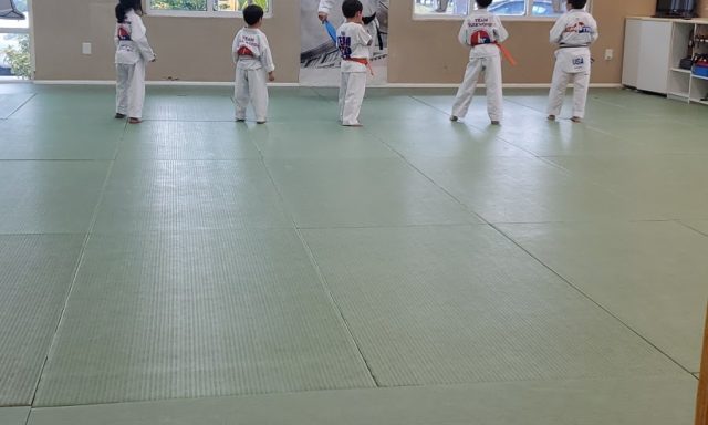 Team Taekwondo
