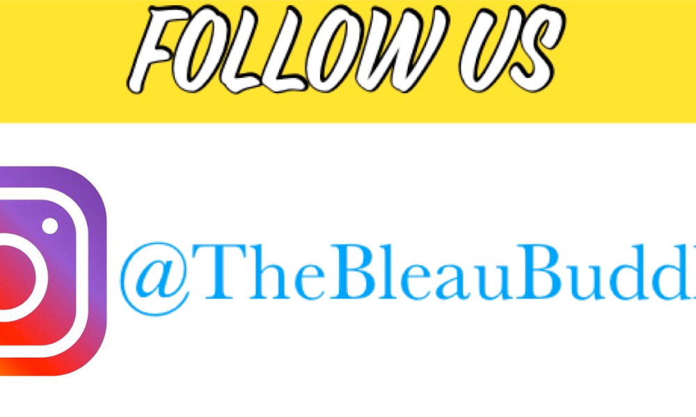 The Bleau Buddha Smoke Shop and Vape Bar