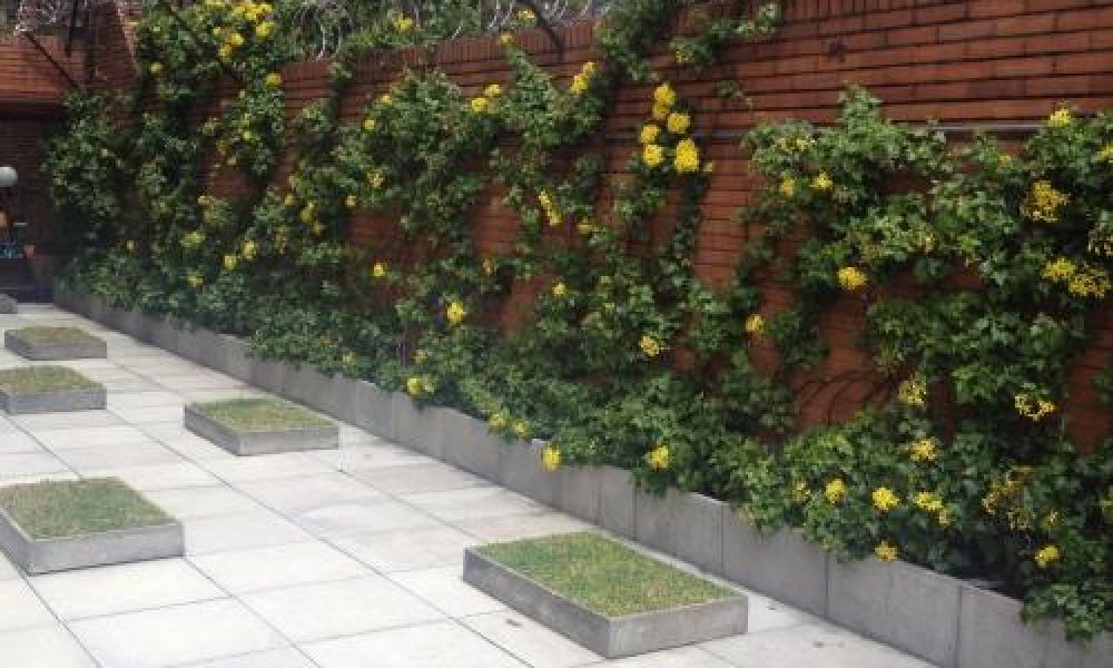 VIVO LANSDSCAPE DESIGN ON THE GO