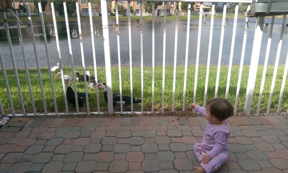 Windward At Island At Doral