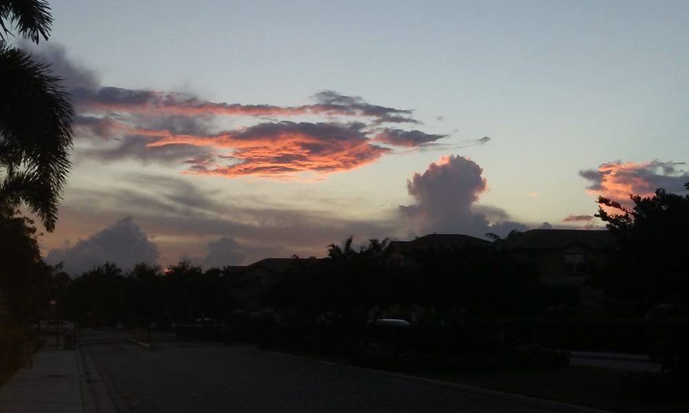 Windward At Island At Doral