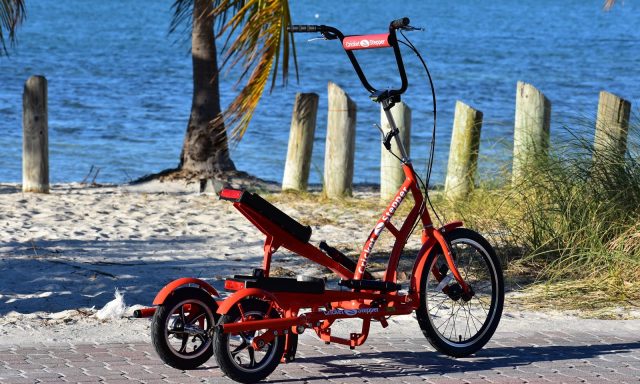 AMERICAN CRICKET LLC