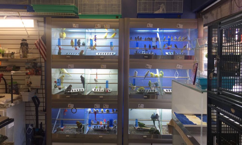 Animal Palace Pet Center