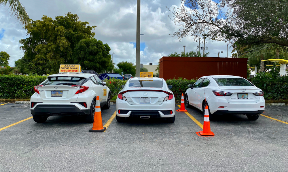 Caribe Traffic & Driving School