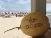 Coco Reserve - Fresh Coconuts, Coconut Catering, and Tropical Produce