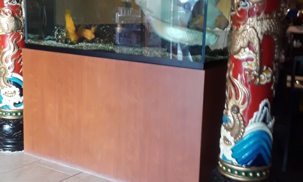 Comida suñer vuena china bufet