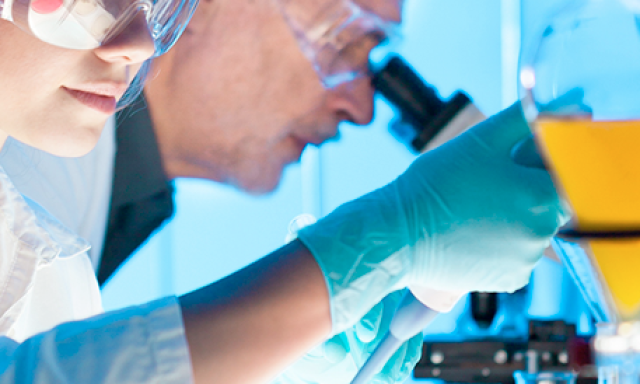 Corpvisionlife Generic Drugs Online