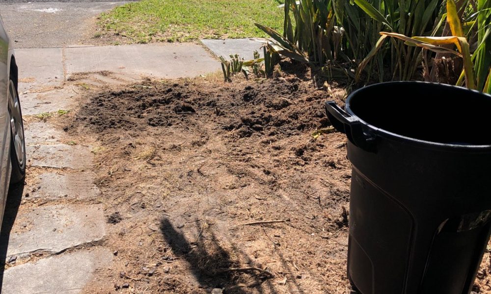 Discount Tree Services Inc