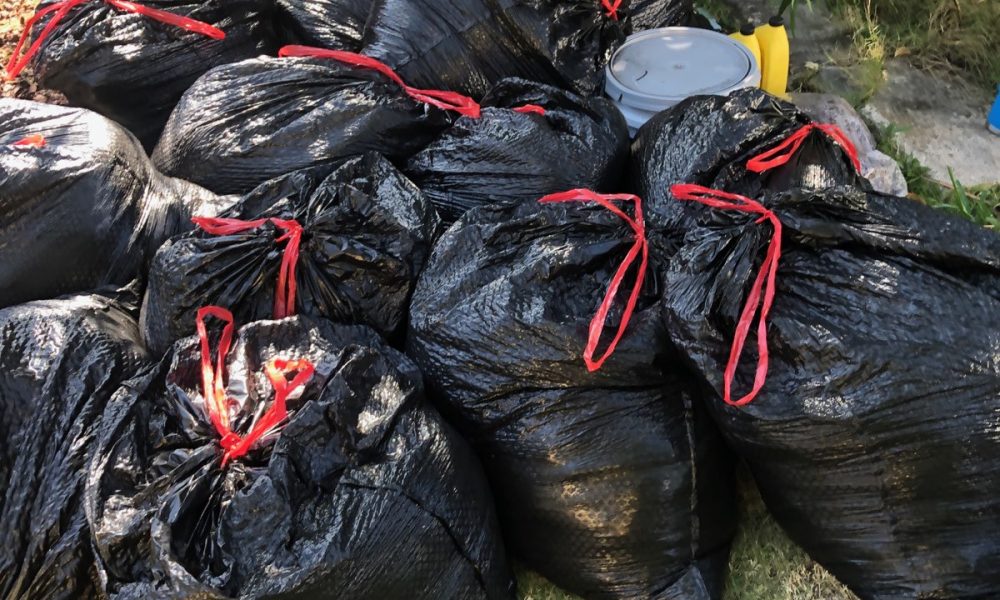 Discount Tree Services Inc