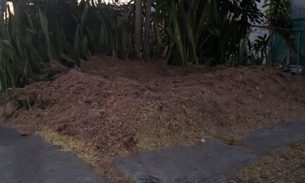 Discount Tree Services Inc