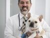 Doral Veterinary Care