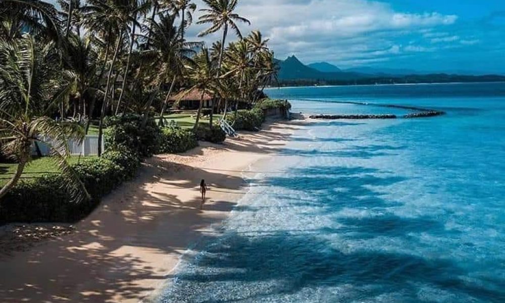 Ebooktrip LLC (Flight Ticket Booking and Reservations)