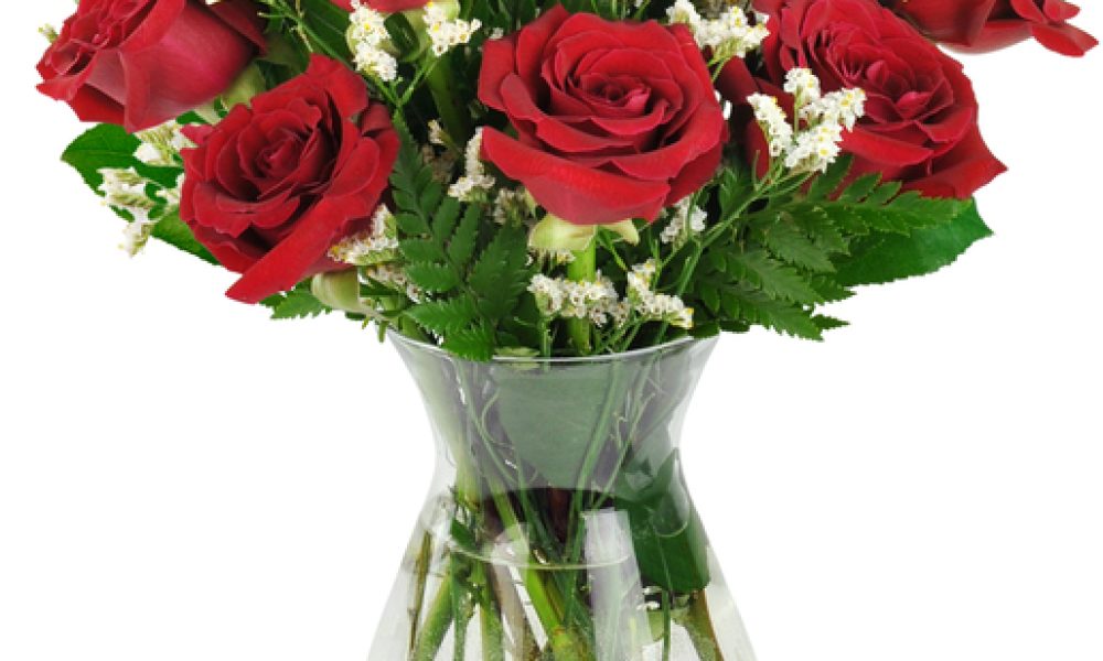 Exotic Flowers of Miami