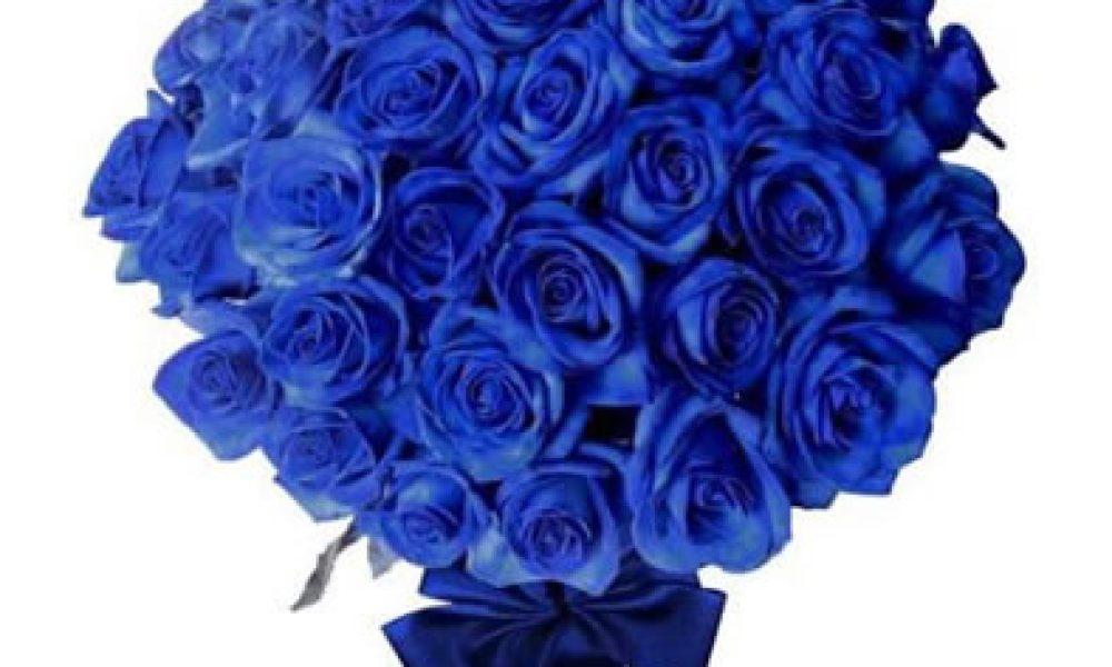 FlowersandFreshness.com