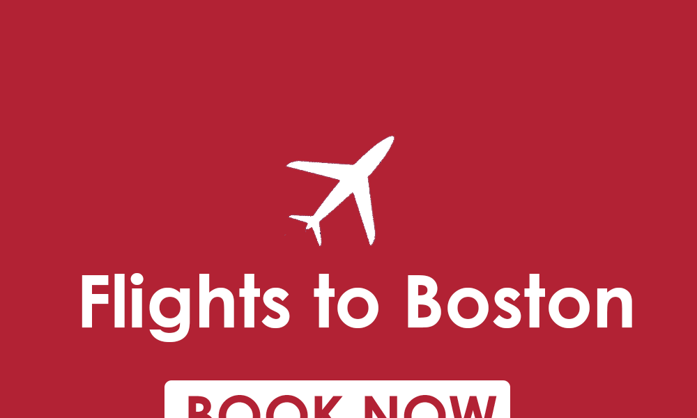 For Cheap Flights