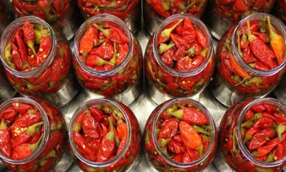 Manzo Food Sales Inc