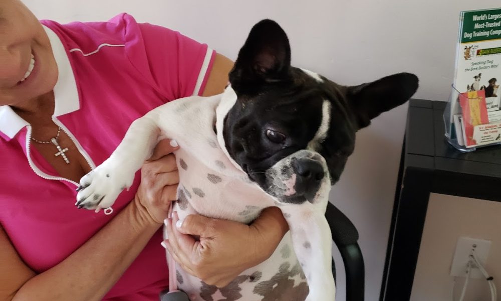 Pets & Hearts Animal Clinic