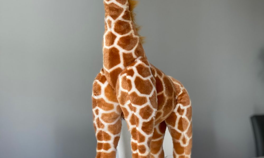 Toy World Incorporated