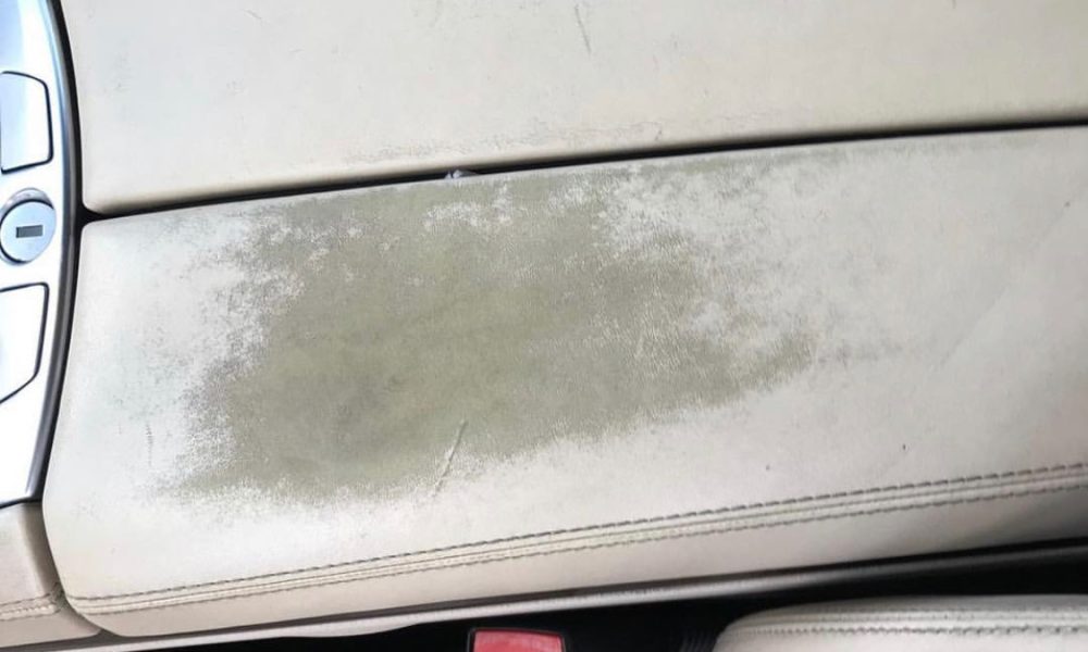 VIP Auto Detail Miami