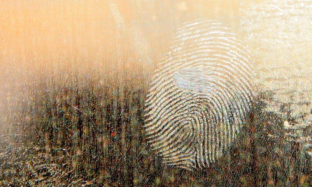 William Gomez - Notary Public