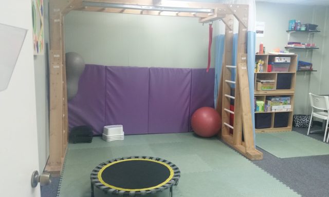 Alicia E. Morgado, MOT