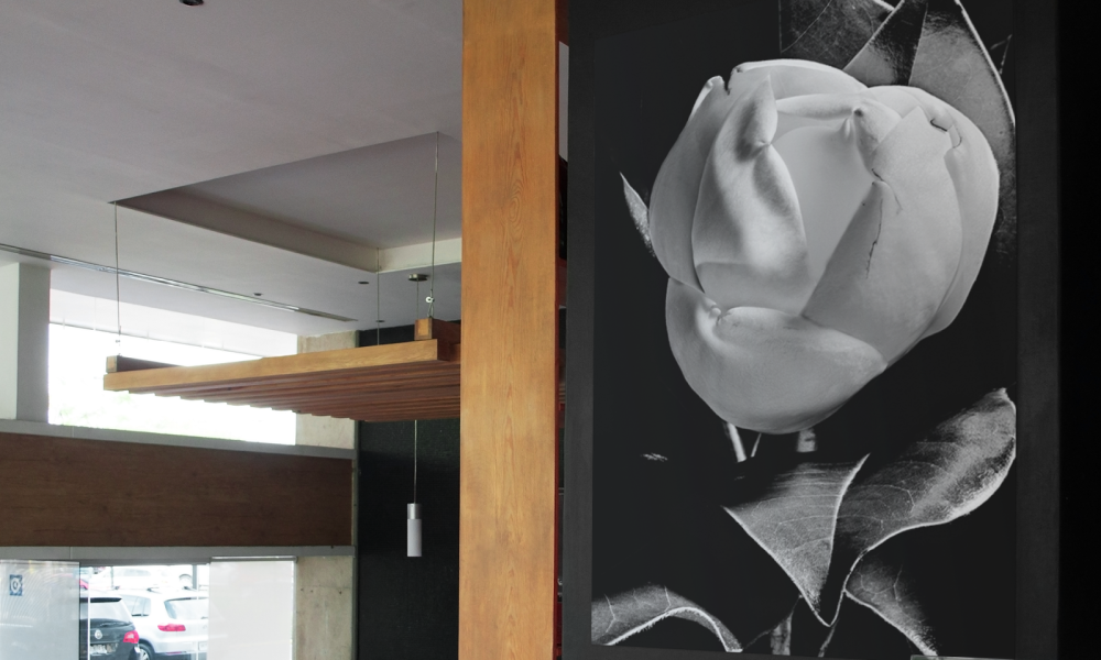 Antares Portfolio Book Arts