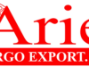 Ariel Cargo Export Inc