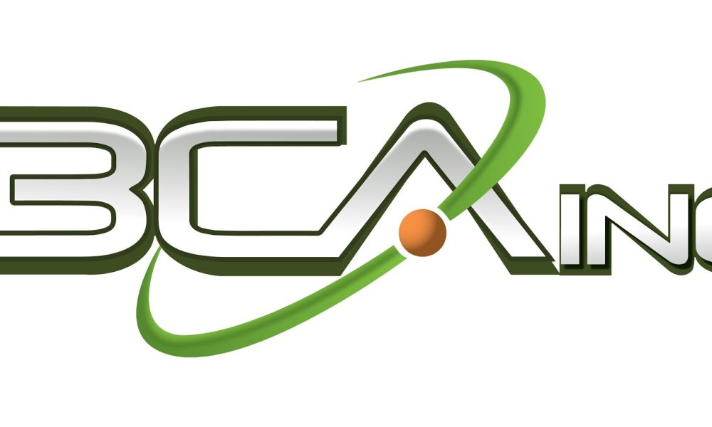 BCA IT, Inc.