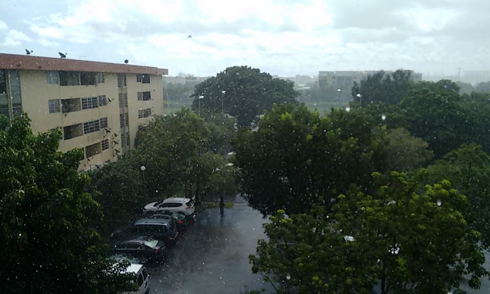 Birchwoods Apartments